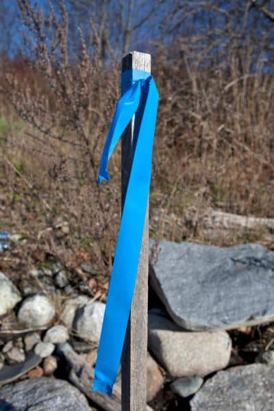 Wooden stake with a blue ribbon tied at the top, outdoors among rocks and dry brush, serving as a marker.